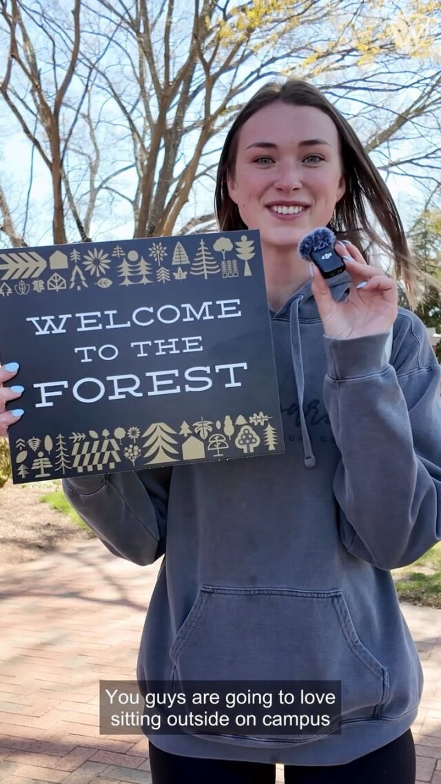 Welcome to the Forest, #WFU28!