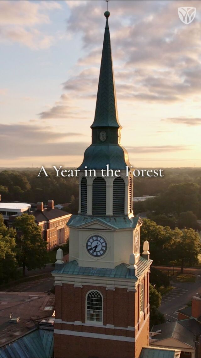 A look back at another amazing year in the Forest. 🎩🌳

#GoDeacs #ProHumanitate
